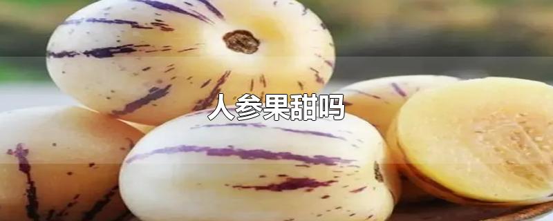 人参果甜吗