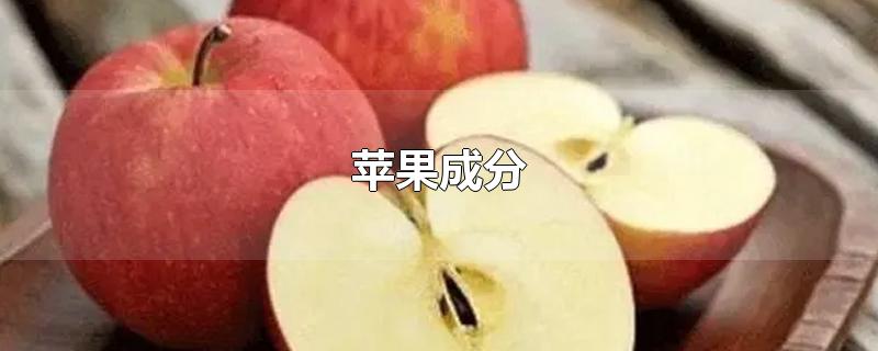 苹果成分