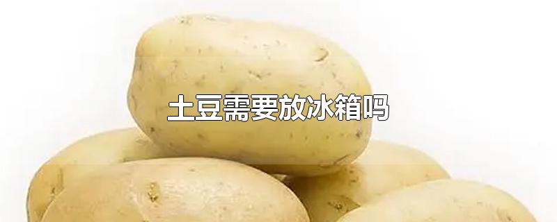 土豆需要放冰箱吗