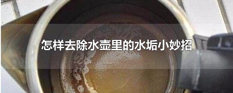 怎样去除水壶里的水垢小妙招