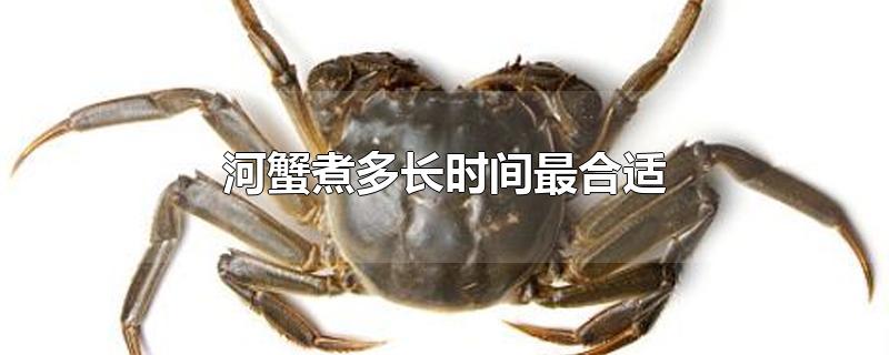 河蟹煮多长时间最合适