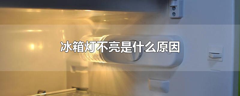 冰箱灯不亮是什么原因