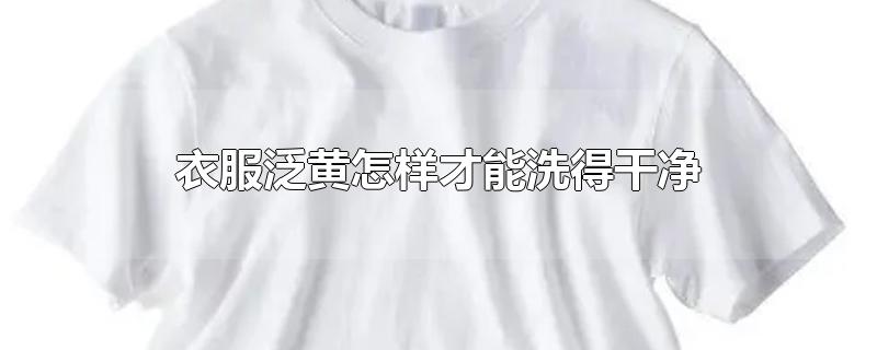 衣服泛黄怎样才能洗得干净