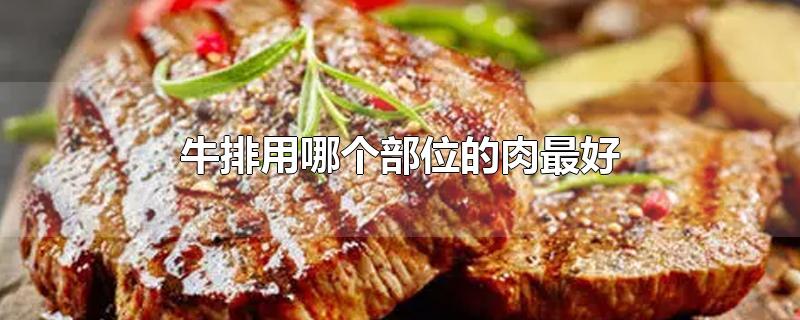 牛排用哪个部位的肉最好