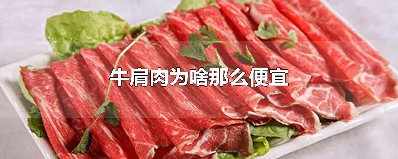 牛肩肉为啥那么便宜