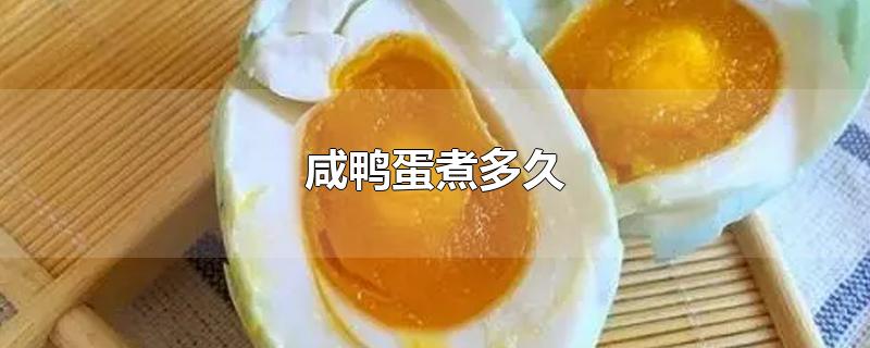 咸鸭蛋煮多久