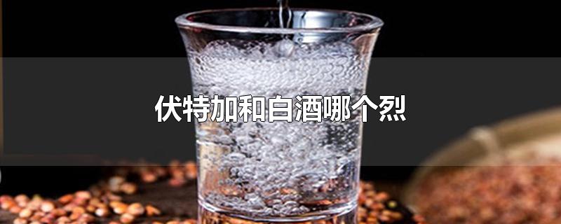 伏特加和白酒哪个烈