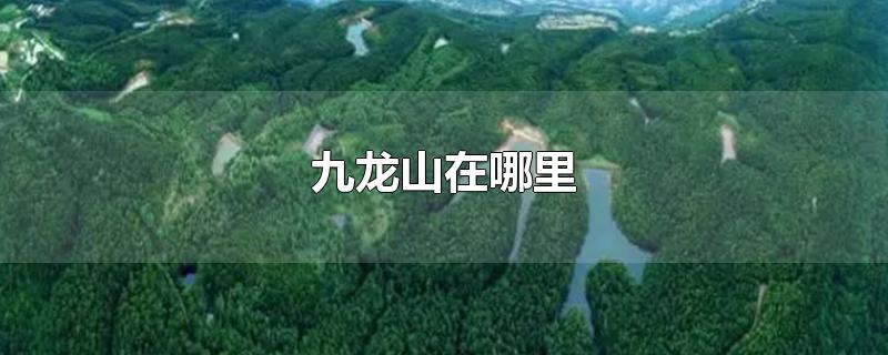 九龙山在哪里