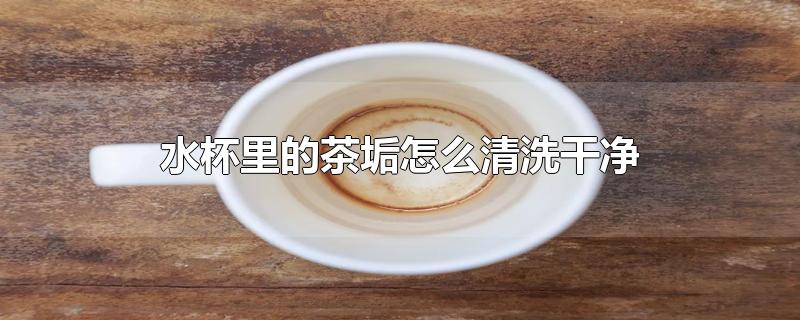 水杯里的茶垢怎么清洗干净