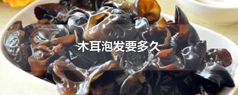 木耳泡发要多久