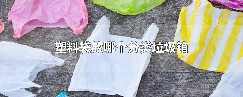 塑料袋放哪个分类垃圾箱