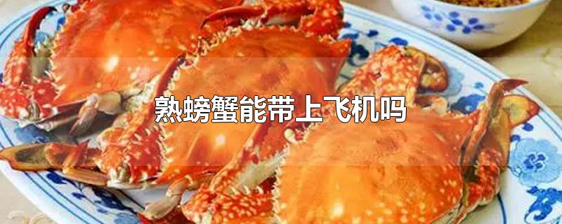 熟螃蟹能带上飞机吗