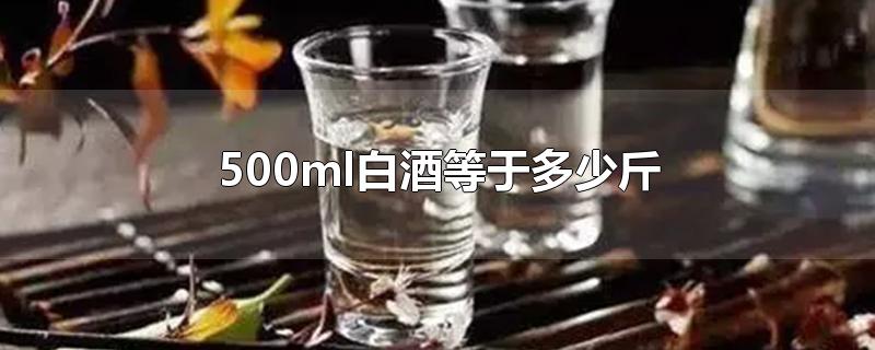 500ml白酒等于多少斤