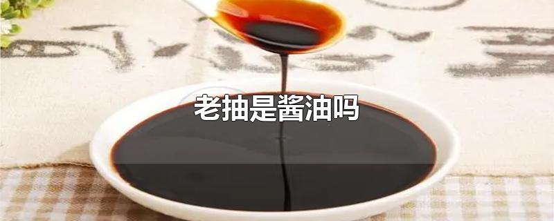 老抽是酱油吗