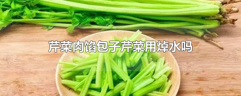 芹菜肉馅包子芹菜用焯水吗