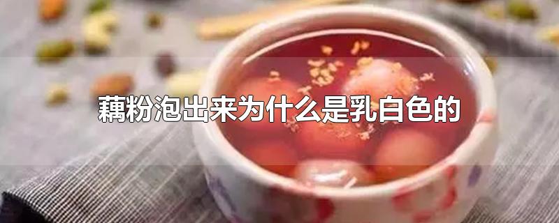 藕粉泡出来为什么是乳白色的