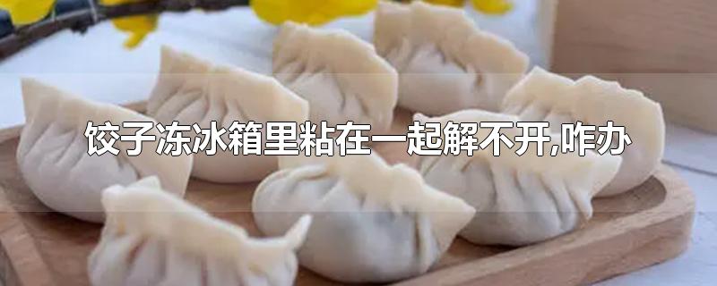 饺子冻冰箱里粘在一起解不开,咋办