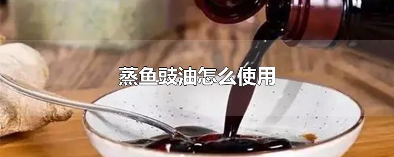 蒸鱼豉油怎么使用