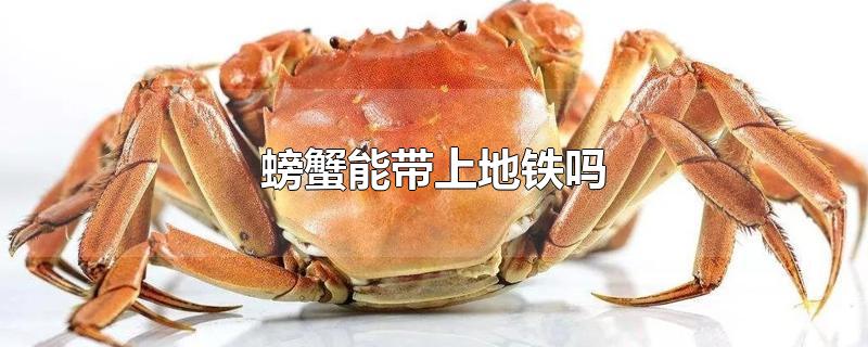 螃蟹能带上地铁吗