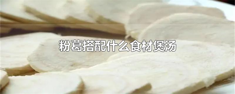 粉葛搭配什么食材煲汤