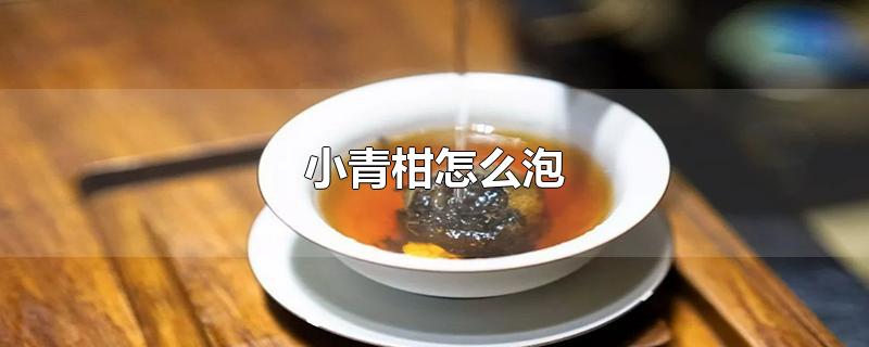 小青柑怎么泡