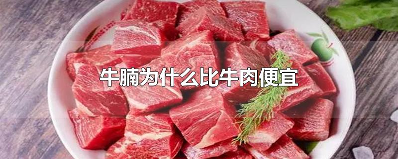 牛腩为什么比牛肉便宜