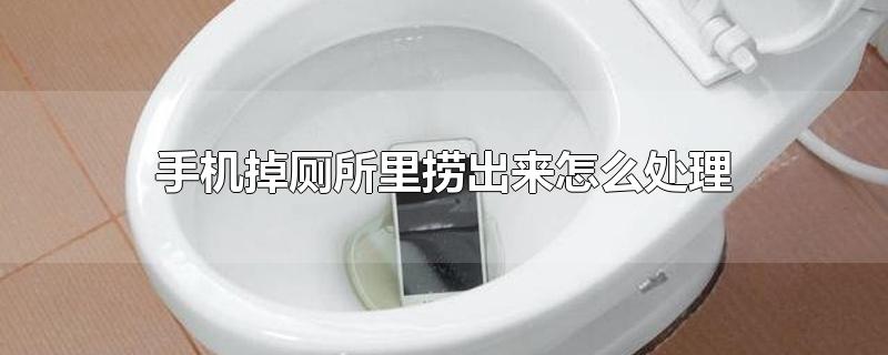 手机掉厕所里捞出来怎么处理