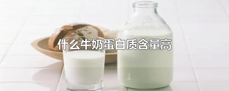 什么牛奶蛋白质含量高