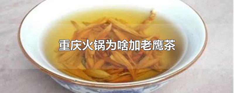 重庆火锅为啥加老鹰茶