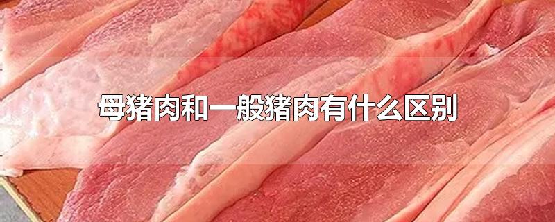 母猪肉和一般猪肉有什么区别