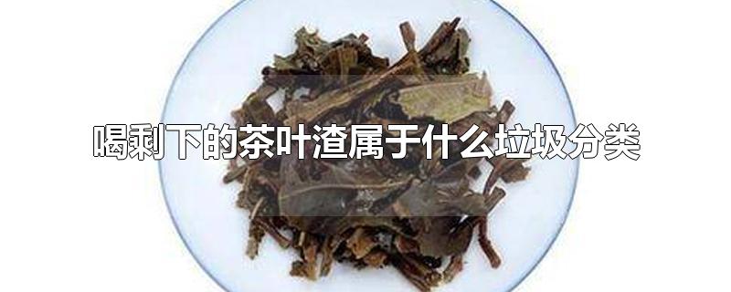 喝剩下的茶叶渣属于什么垃圾分类