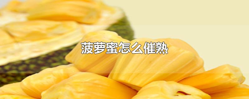 菠萝蜜怎么催熟