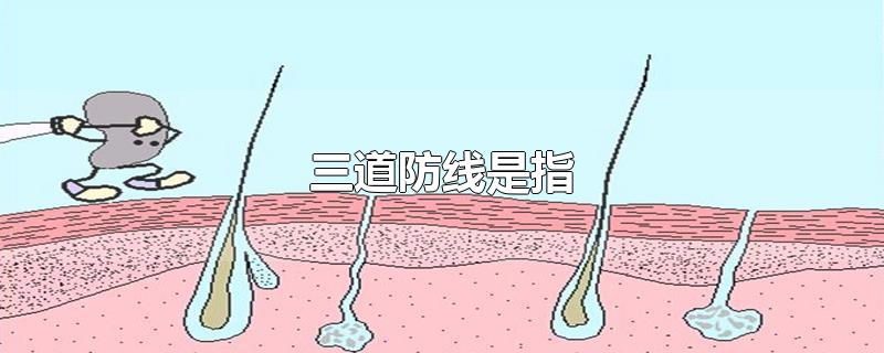 三道防线是指