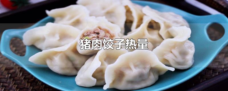 猪肉饺子热量