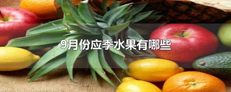 9月份应季水果有哪些