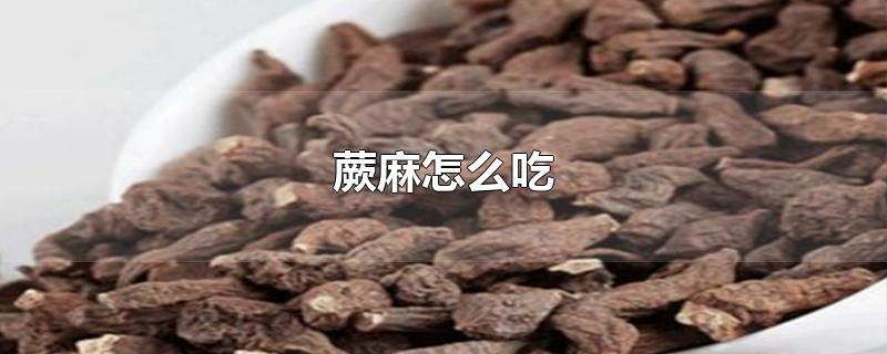 蕨麻怎么吃