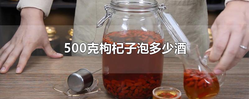 500克枸杞子泡多少酒