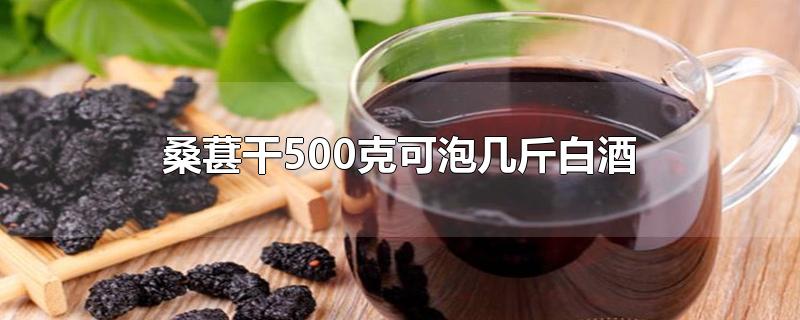 桑葚干500克可泡几斤白酒