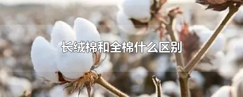 长绒棉和全棉什么区别