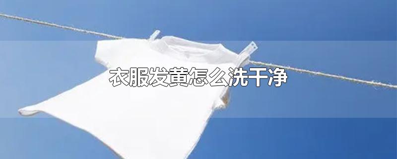 衣服发黄怎么洗干净