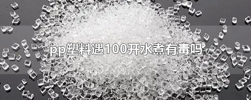 pp塑料遇100开水煮有毒吗