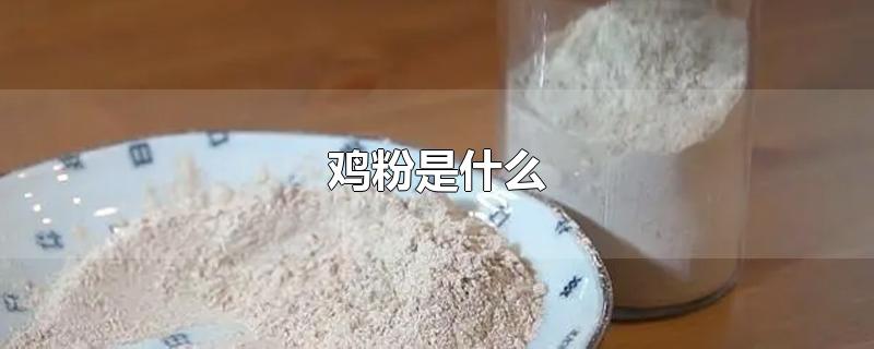 鸡粉是什么