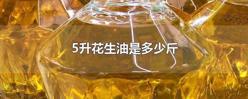 5升花生油是多少斤