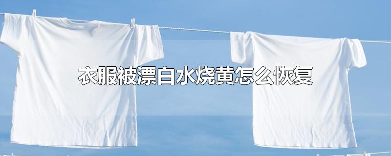 衣服被漂白水烧黄怎么恢复