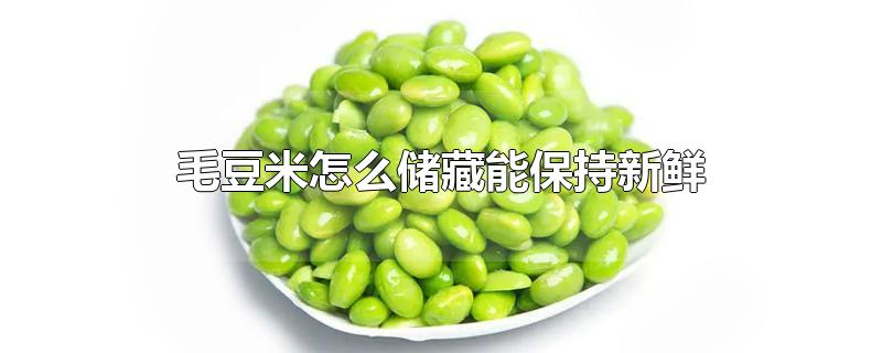 毛豆米怎么储藏能保持新鲜