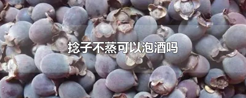 捻子不蒸可以泡酒吗