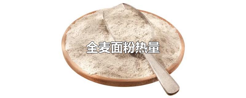 全麦面粉热量