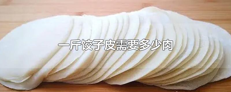 一斤饺子皮需要多少肉