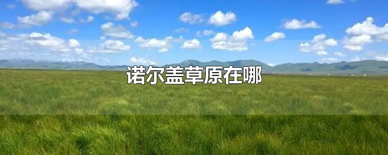 诺尔盖草原在哪