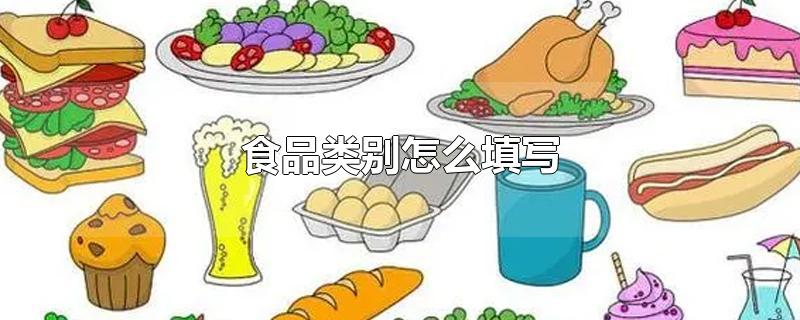 食品类别怎么填写